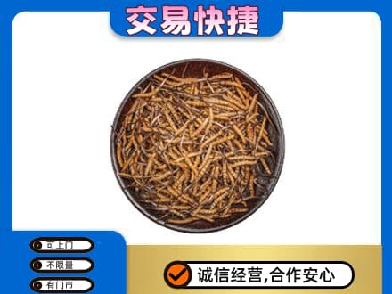 喀什叶城县回收散虫草